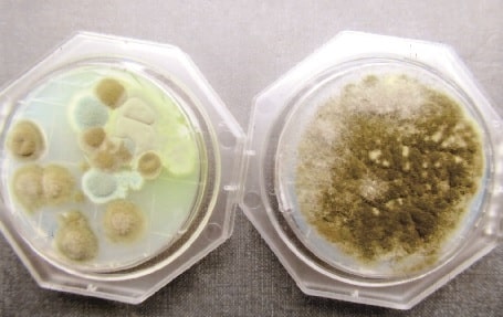 c1bd75af207452e38b6317f5ec46812c