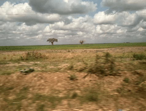 25b5f635e4c1623de06601a938d5d453